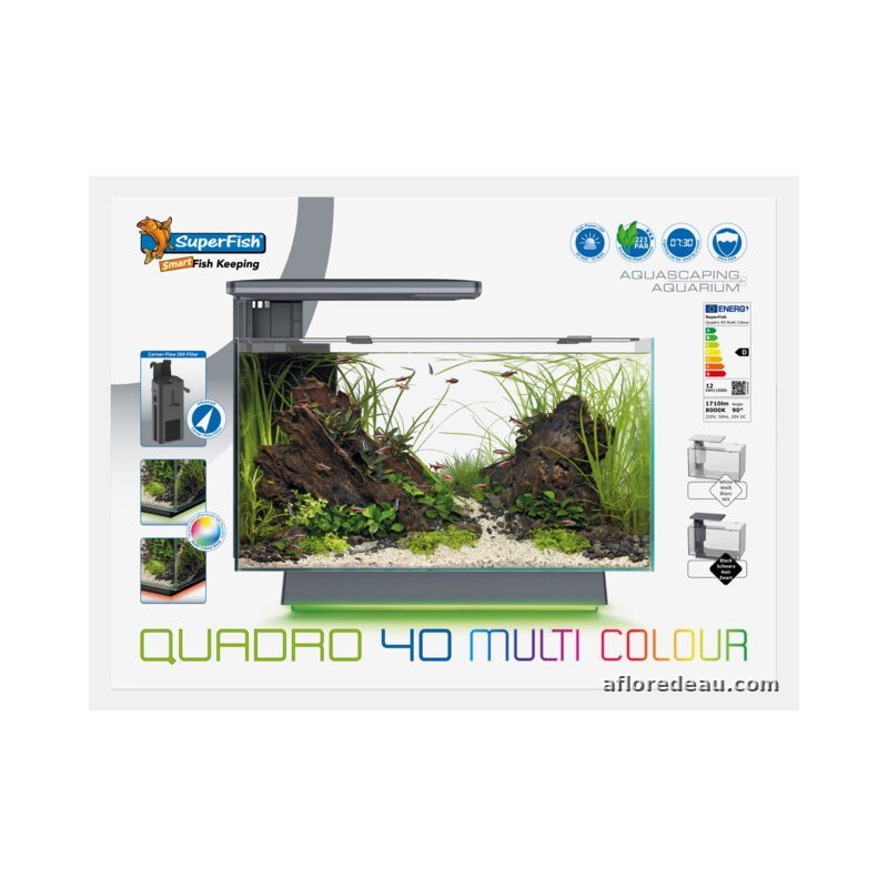 SF QUADRO 40 MULTI COLOUR NOIR