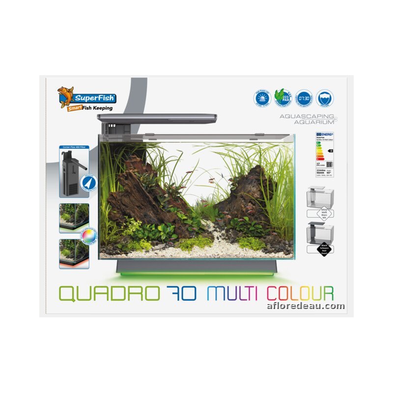 SF QUADRO 70 MULTI COLOUR BLANC