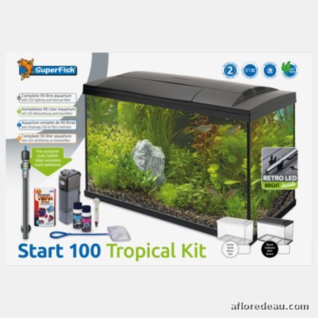 SF START 100 TROPICAL KIT NOIR