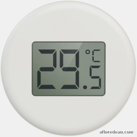 SF DIGI THERMO