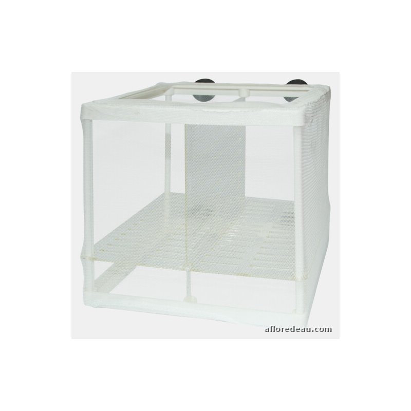 SF FILET DE REPRODUCTION (160X142X152 MM)