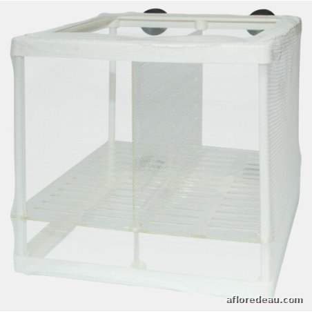 SF FILET DE REPRODUCTION (160X142X152 MM)