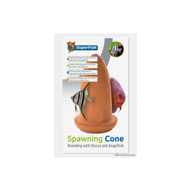 SF CONE DE FRAI