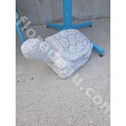 Tortue