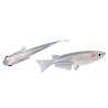 Medaka blanc 2,7-3 cm – poisson vivant, vasque et bassin