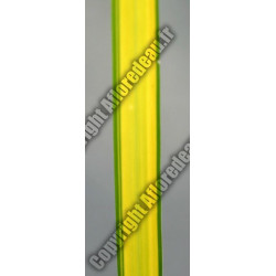 Carex riparia 'Aurea'