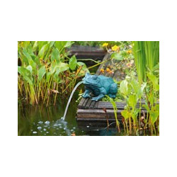 Gargouille Grenouille 17cm jet d'eau