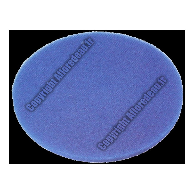 Mousse de rechange pour filtre BioPure