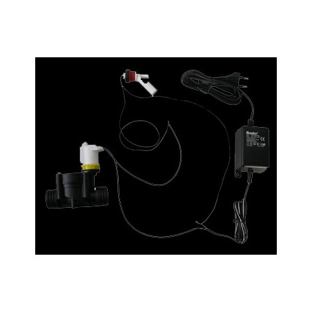 Mise à niveau automatique électronique