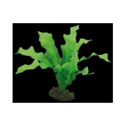 Echinodorus plante artificielle 20cm