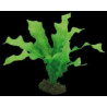 Echinodorus plante artificielle 20cm