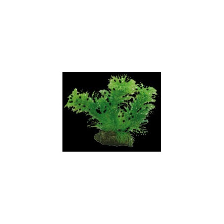 Egeria plante artificielle 13cm
