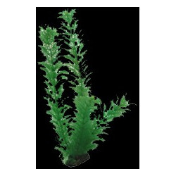 Egeria plante artificielle 34cm