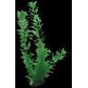 Egeria plante artificielle 34cm
