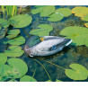 Canard flottant dormant 
