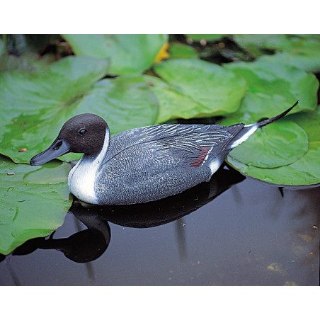 Canard pilet flottant mâle 