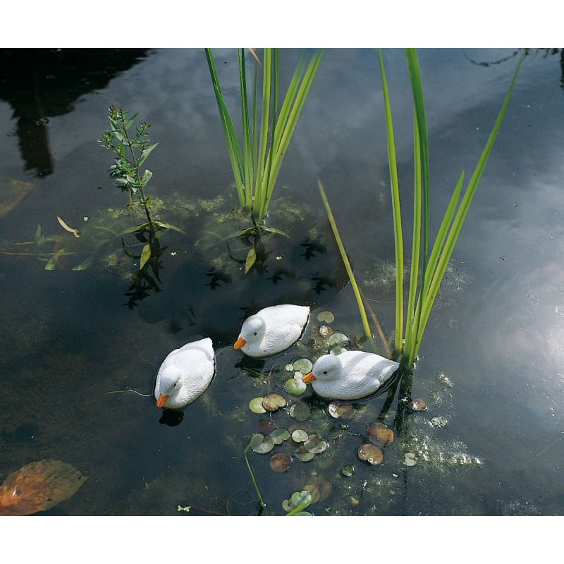 Caneton flottant blanc