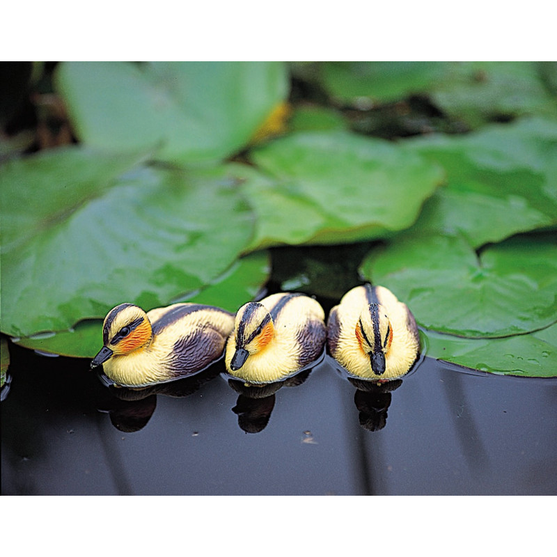 Caneton flottant jaune 