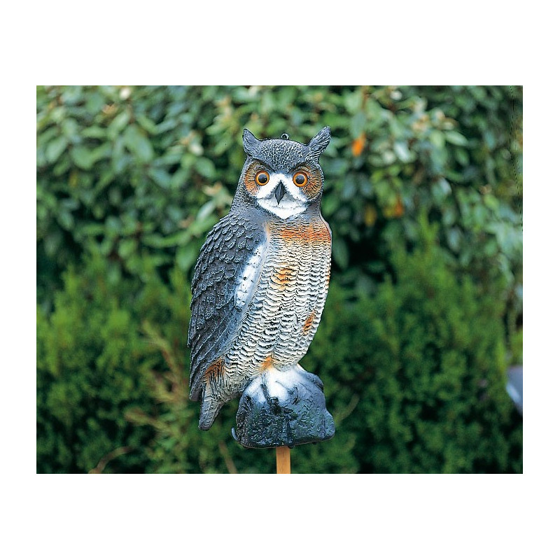 Le Grand Hibou  40 cm 