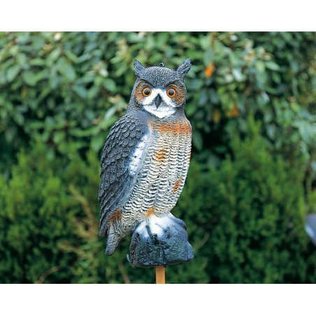 Le Grand Hibou  40 cm 