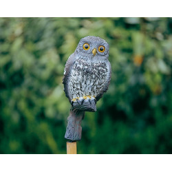 La Petite Chouette 24 cm 