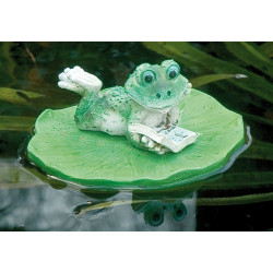 Gargouille Grenouille sur feuille de nénuphar qui bouquine
