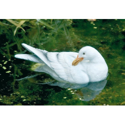 Gargouille Mouette flottante qui nettoie son aile