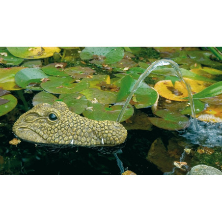 Gargouille Crocodile avec pompe et tuyau