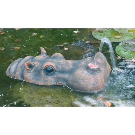 Gargouille Hippopotame 2 avec pompe et tuyau