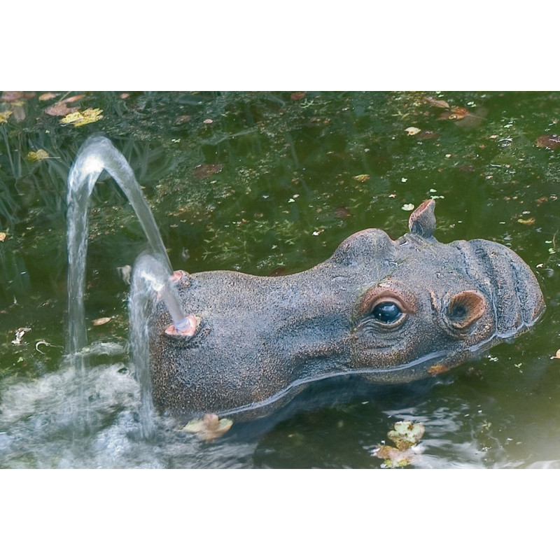 Gargouille Hippopotame avec pompe et tuyau