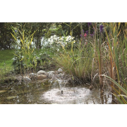 Pompe solaire PondoSolar 250 Plus