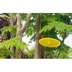 Fleur de Soleil suspendue (Jaune)