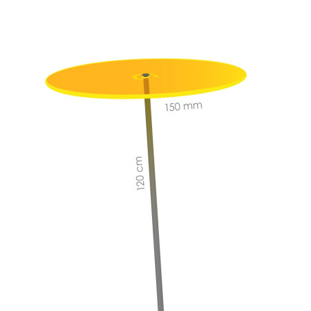 Fleur de Soleil Medio (Jaune)