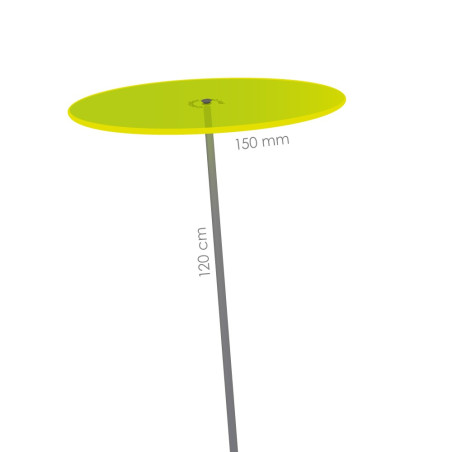 Fleur de Soleil Medio (Vert)