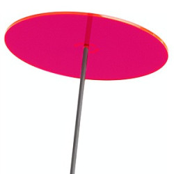 Fleur de Soleil Géante (Rose)