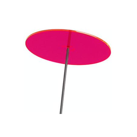 Fleur de Soleil Géante (Rose)