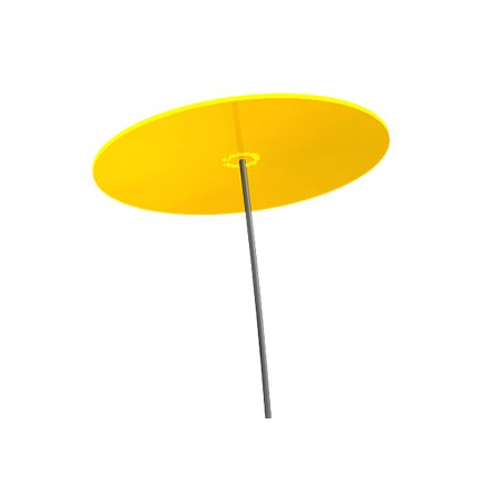 Fleur de Soleil Géante (Jaune)