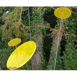 Fleur de Soleil Géante (Jaune)