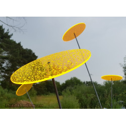 Fleur de Soleil Géante (Jaune)