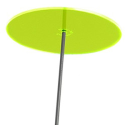 Fleur de Soleil Géante (Jaune)