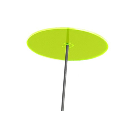 Fleur de Soleil Géante (Jaune)