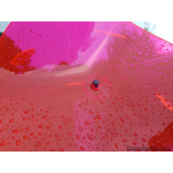 Fleur de Soleil Géante Lucy (Rose)