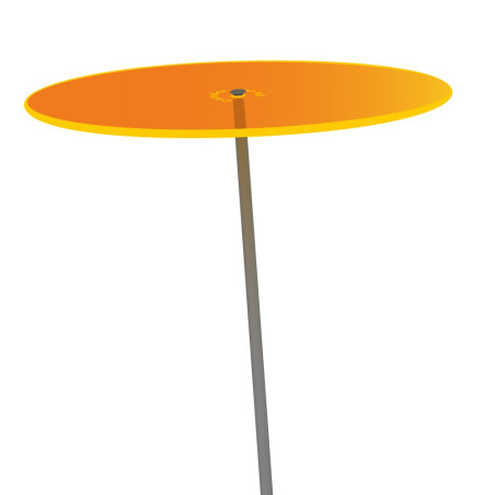 Fleur de Soleil Géante (Orange)