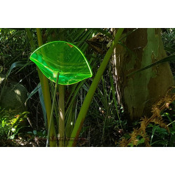 Fleur de Soleil Géante Lucy (Vert)