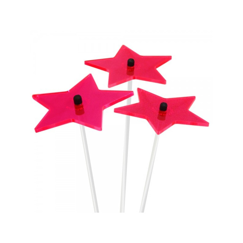 Bouquet de 3 Etoiles Fleurs de Soleil (rose)