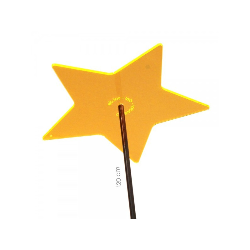 Etoile Fleur de Soleil Medio (Rouge)