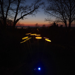 Spot solaire Led lumière noire spécial Cazador Del Sol 