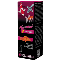 MORENICOL PROPOLIS WOUND SPRAY 50 ML