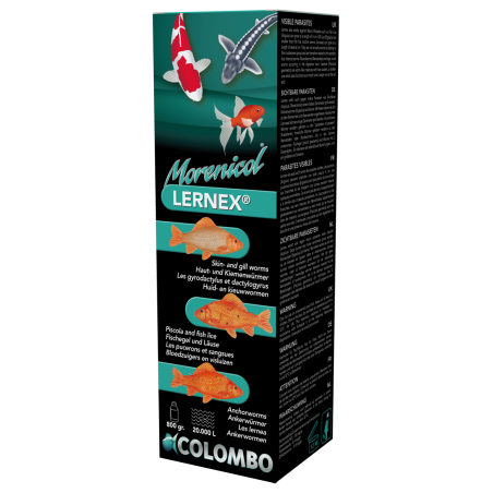 LERNEX 800 GRAMMES / 20.000 LTR