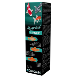 LERNEX 400 GRAMMES / 10.000 LTR